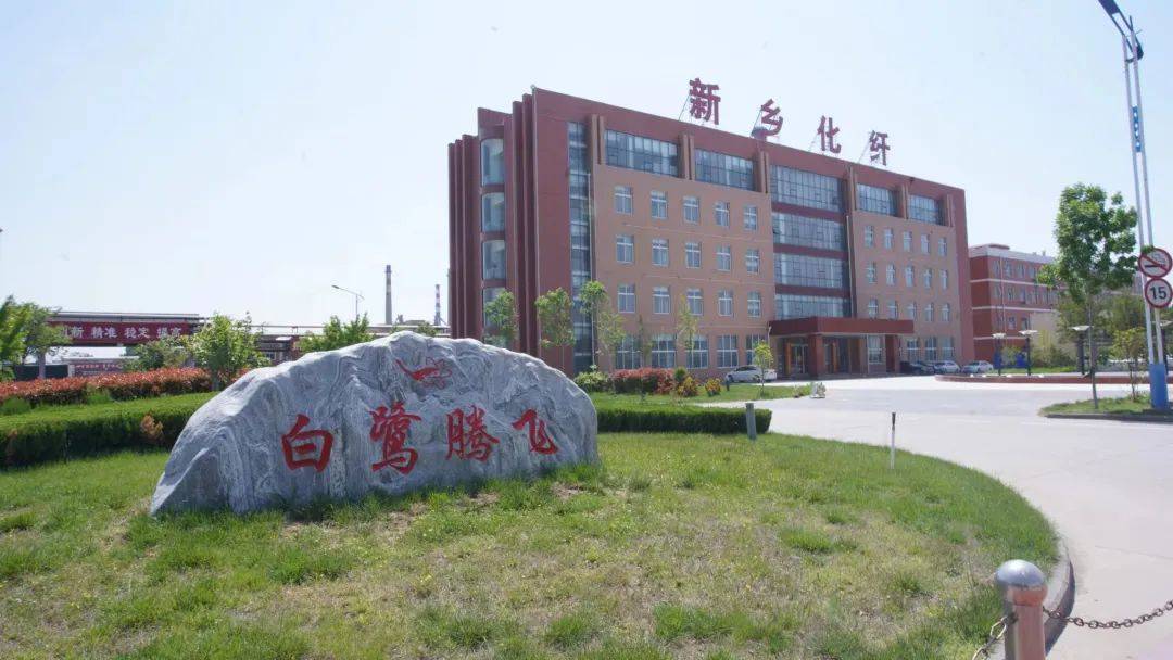以草代木、天然抗菌、可自然降解，新鄉(xiāng)化纖開創(chuàng)新的“傳奇”——菌草纖維 