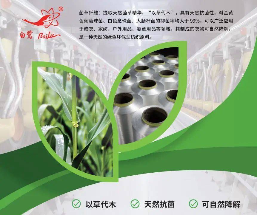 以草代木、天然抗菌、可自然降解，新鄉(xiāng)化纖開創(chuàng)新的“傳奇”——菌草纖維 